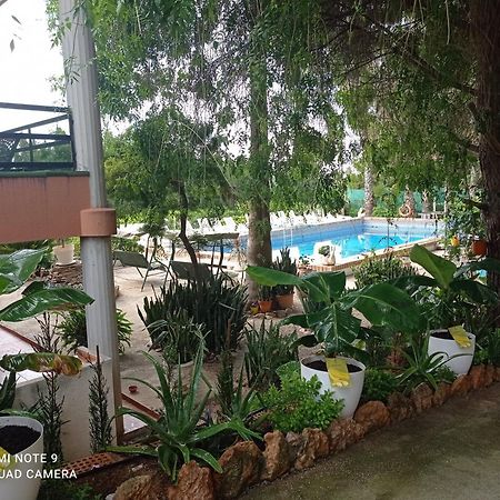 Camarles Casa Rural Complex Masia Del Tremendo Y Agroturismo المظهر الخارجي الصورة