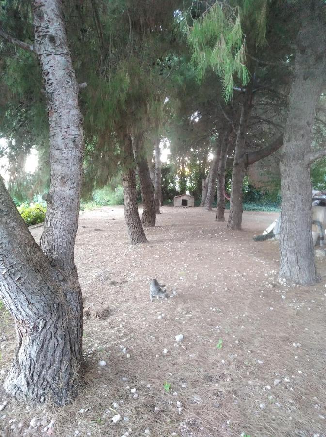 Camarles Casa Rural Complex Masia Del Tremendo Y Agroturismo المظهر الخارجي الصورة