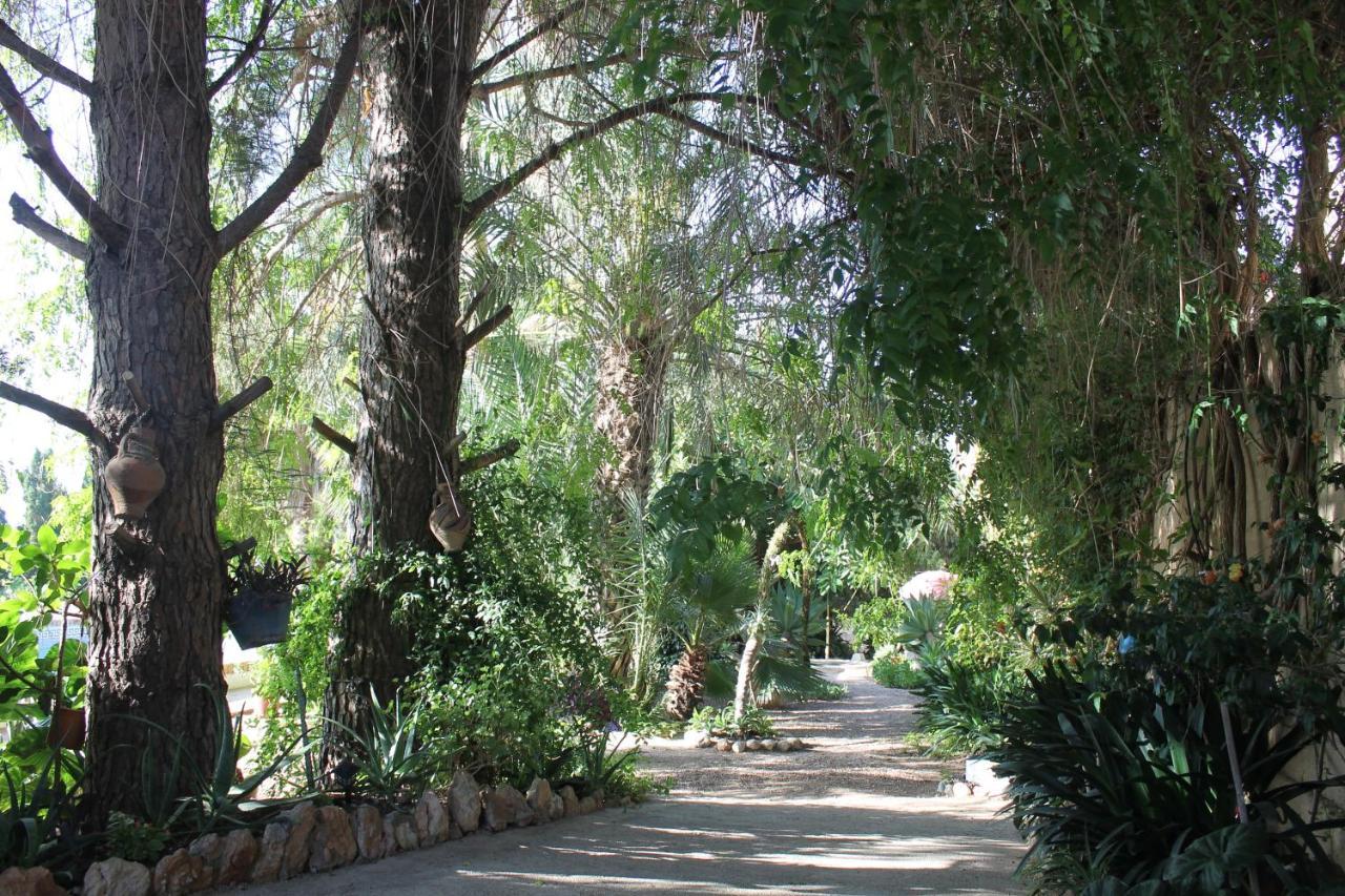 Camarles Casa Rural Complex Masia Del Tremendo Y Agroturismo المظهر الخارجي الصورة