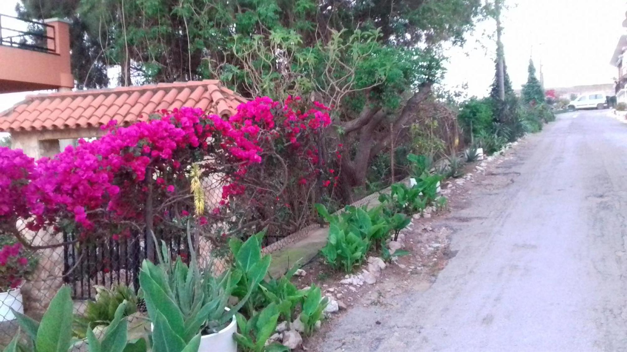 Camarles Casa Rural Complex Masia Del Tremendo Y Agroturismo المظهر الخارجي الصورة
